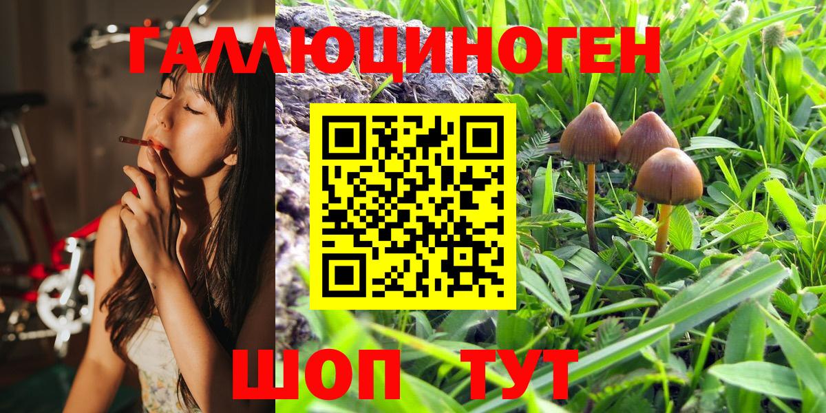 Артём  Галлюциногенные грибы Magic Shrooms  Вход с VPN 